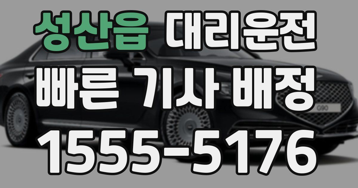 일일대리기사