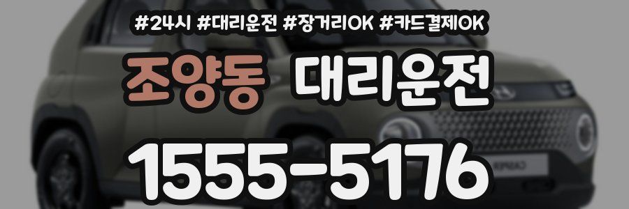 조양동 대리운전