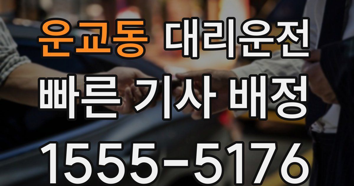 일일대리기사