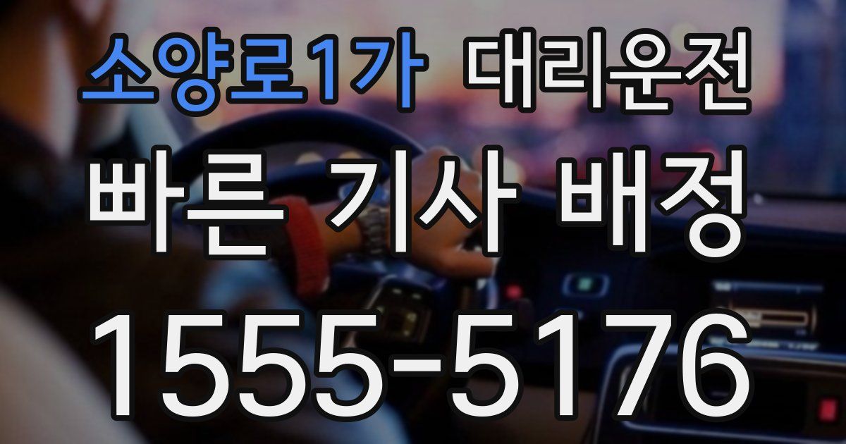 일일대리기사