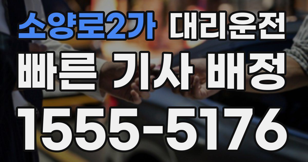 일일대리기사