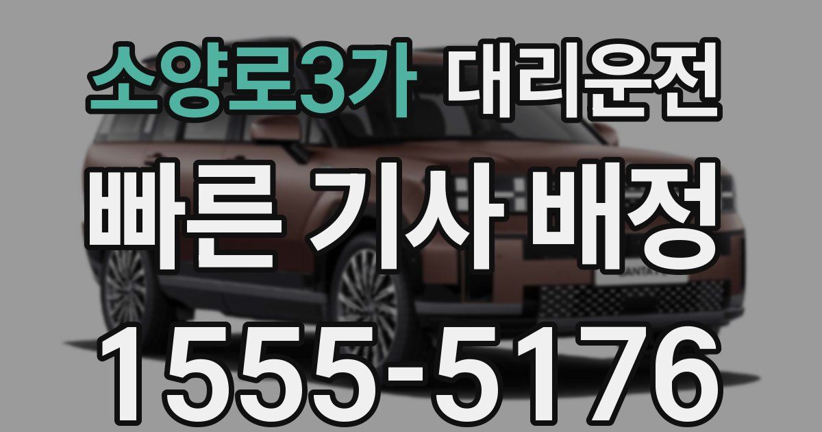 일일대리기사