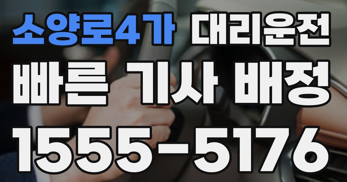 일일대리기사