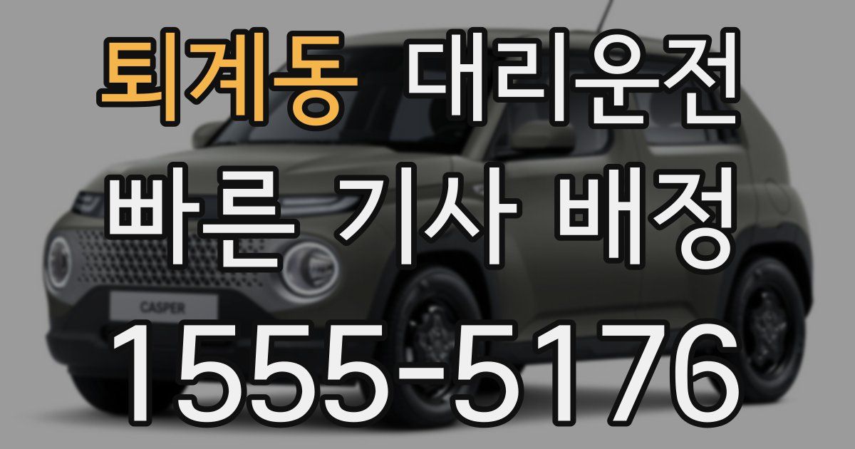 일일대리기사