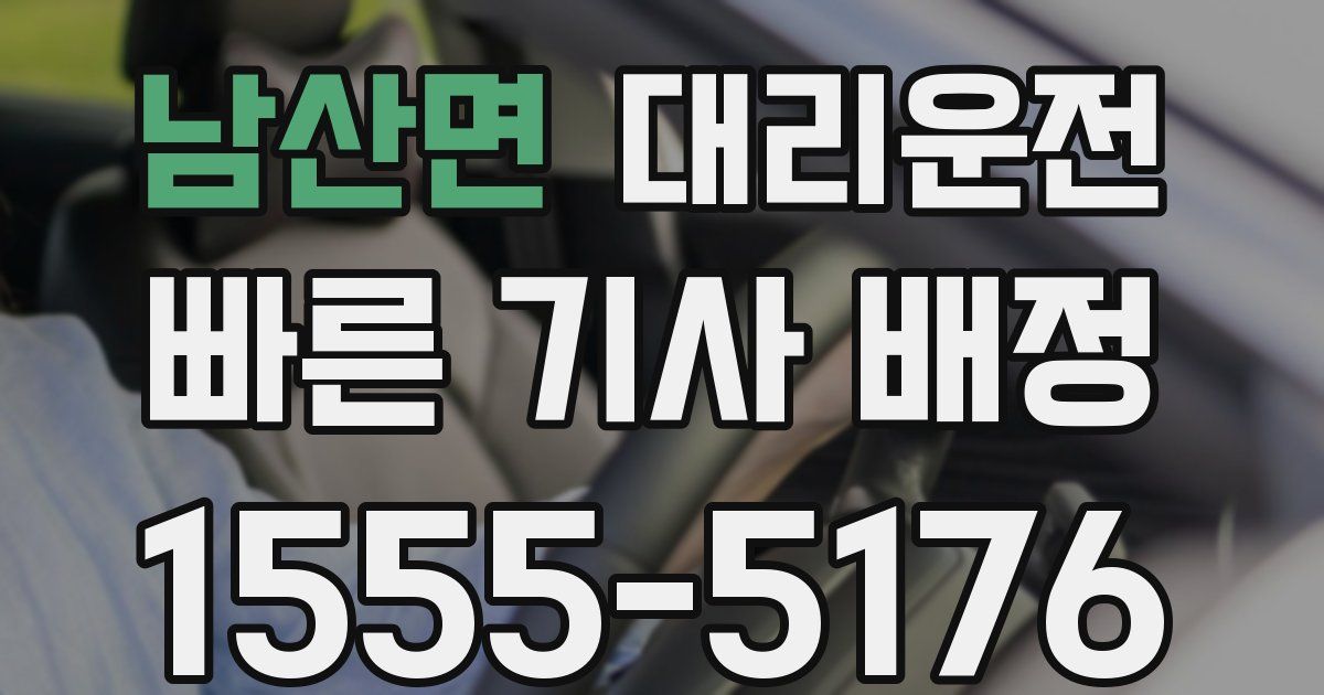 일일대리기사