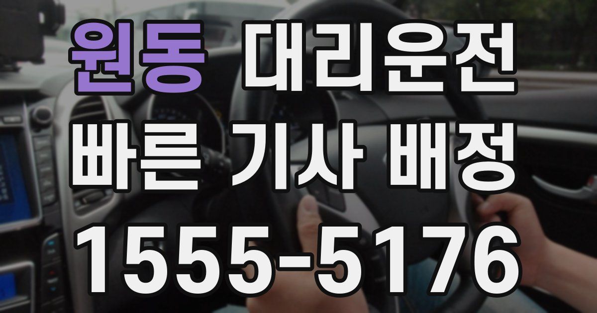 일일대리기사