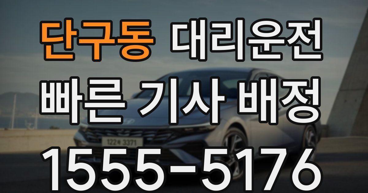 일일대리기사