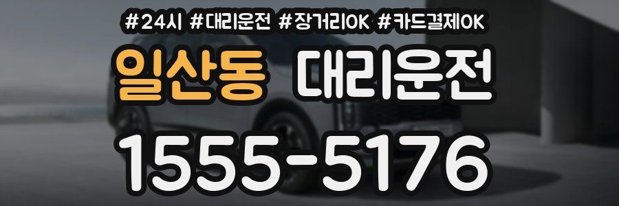 일산동 대리운전