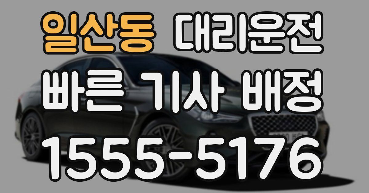일일대리기사