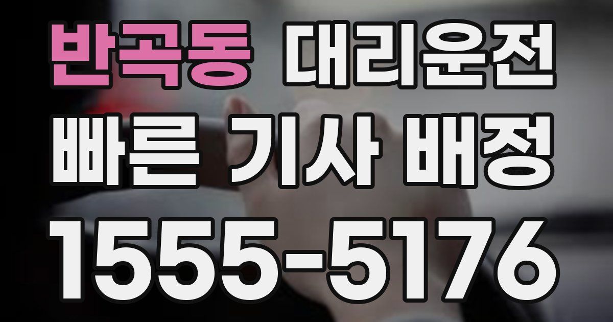 일일대리기사