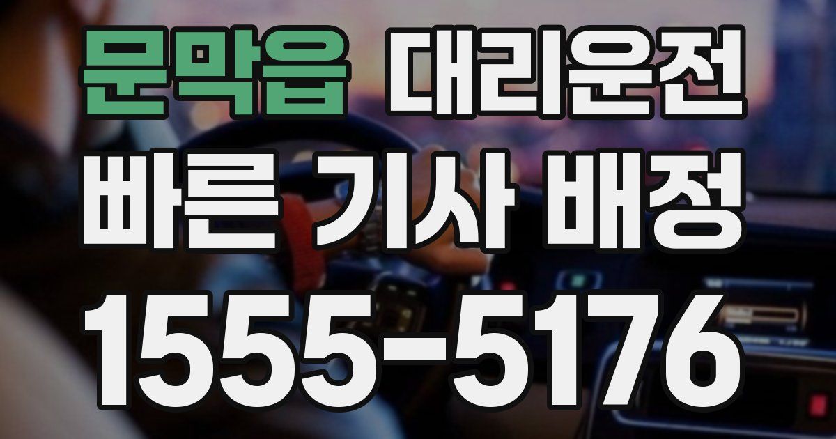일일대리기사