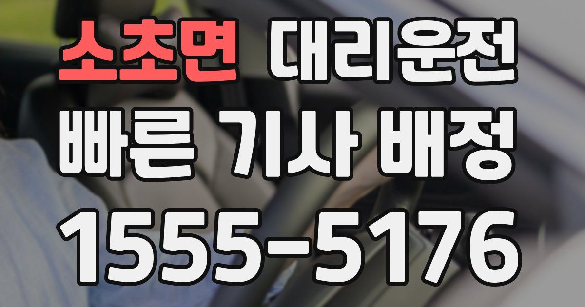 일일대리기사