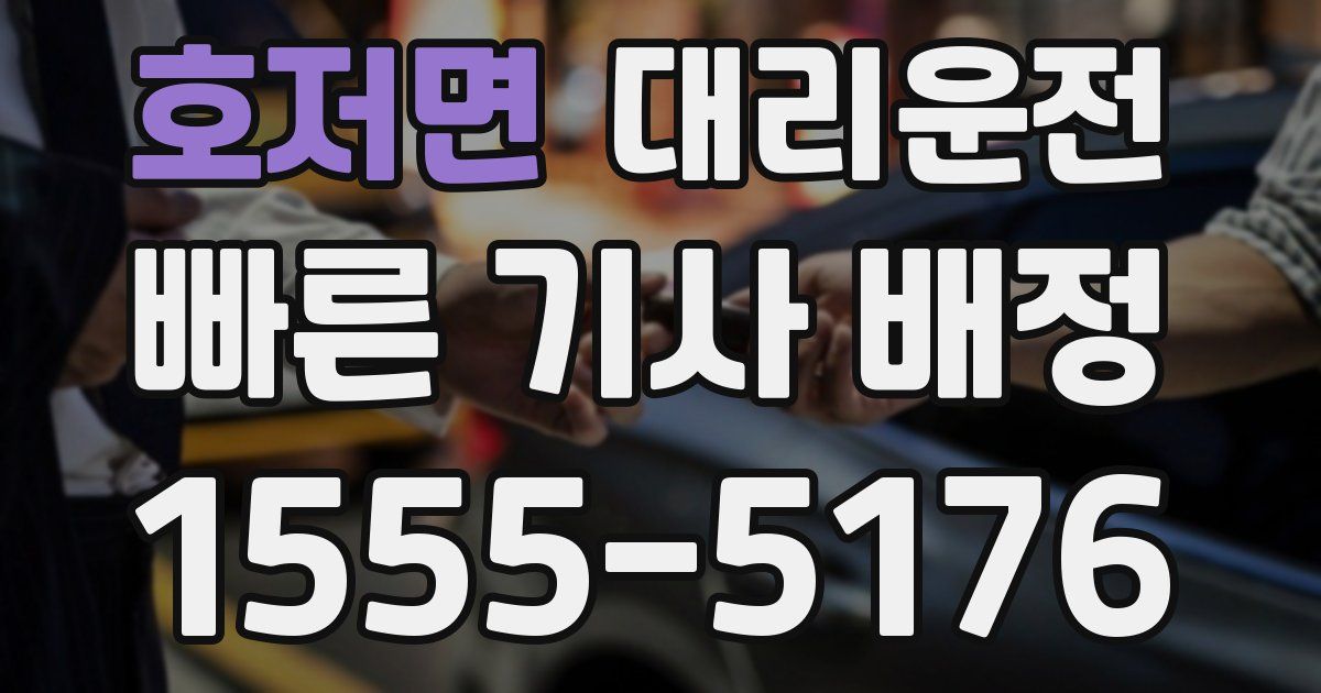 일일대리기사