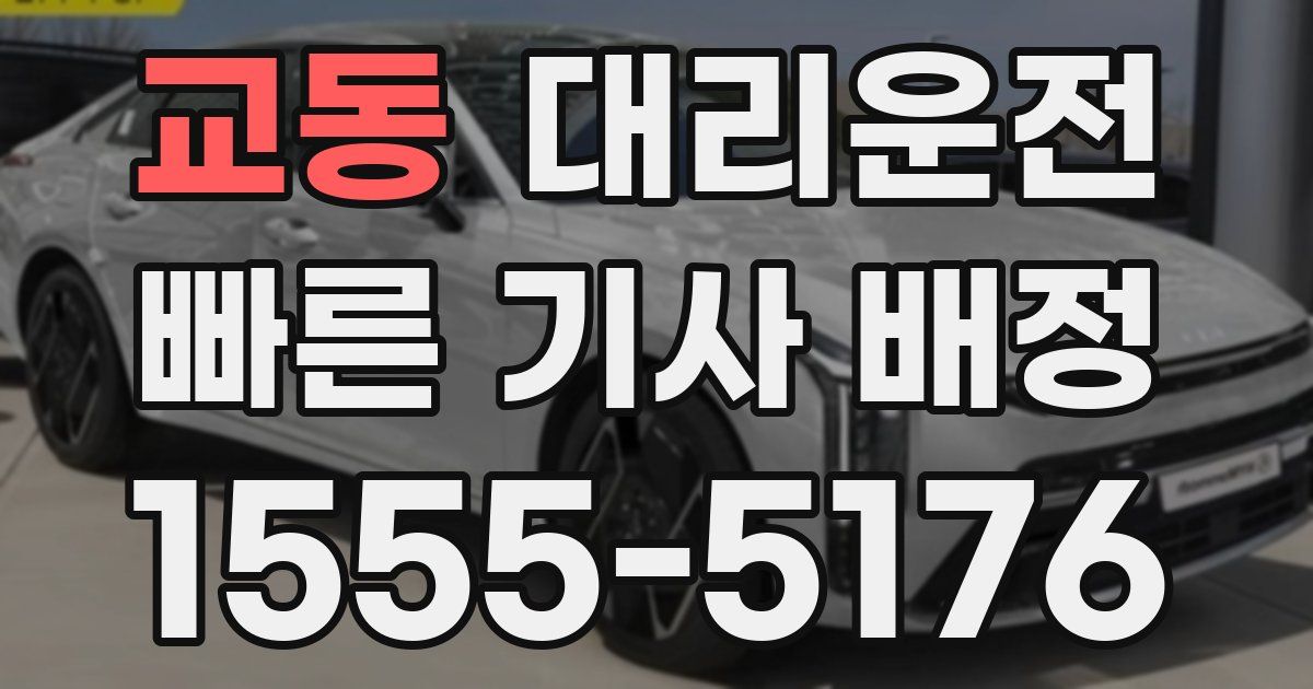 일일대리기사