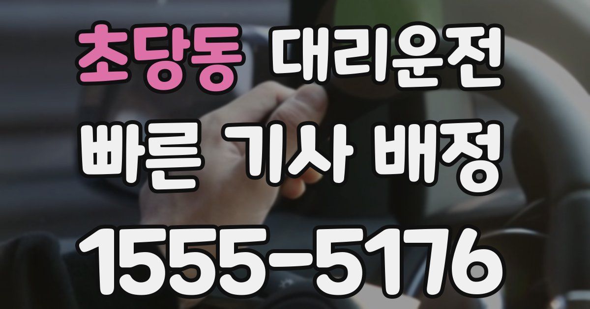 일일대리기사