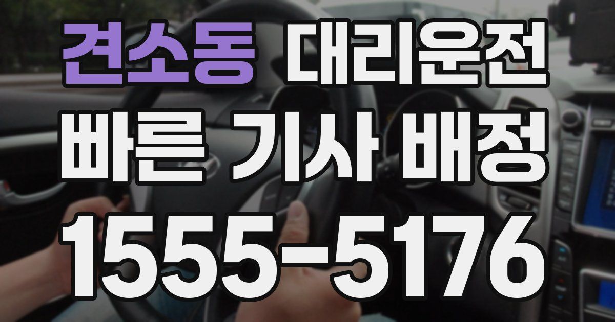 일일대리기사