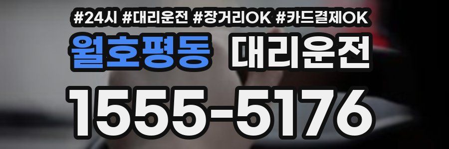 월호평동 대리운전