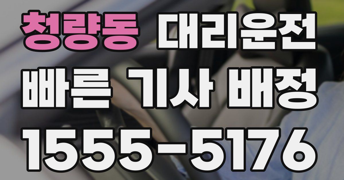 일일대리기사
