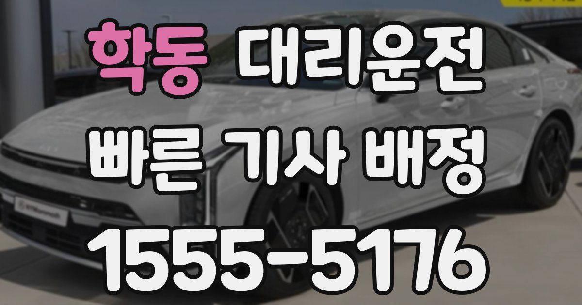 일일대리기사