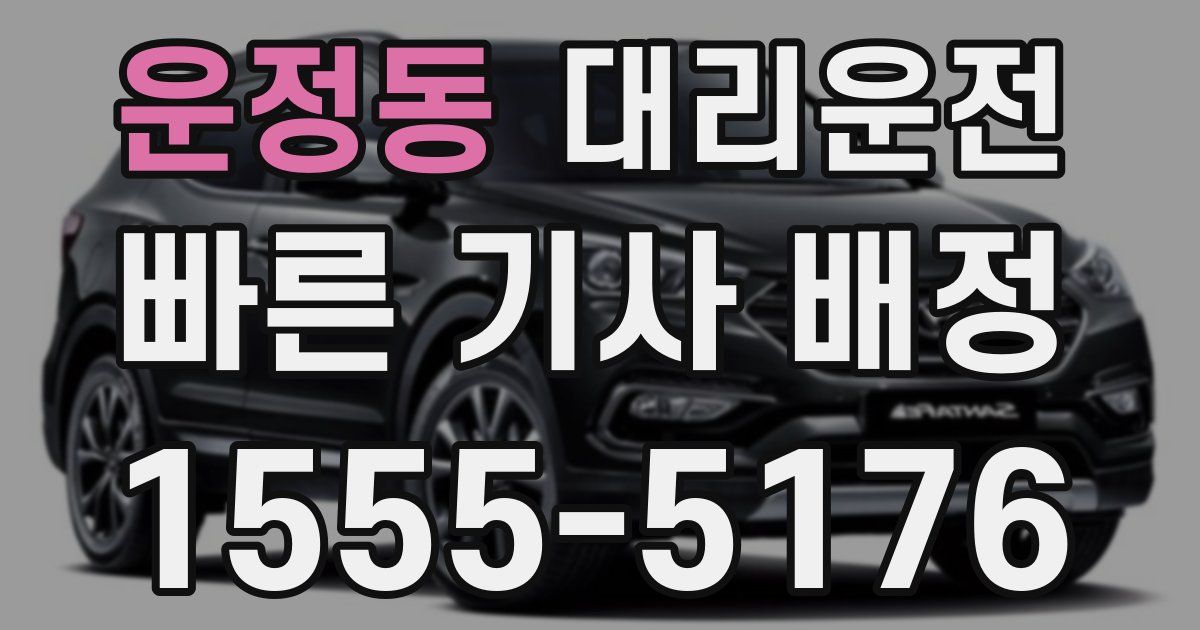 일일대리기사