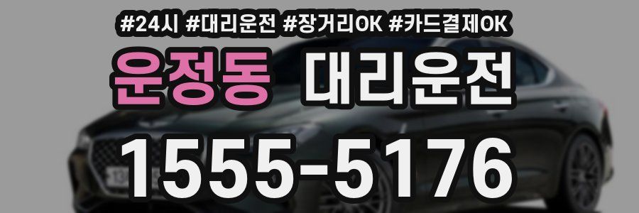운정동 대리운전