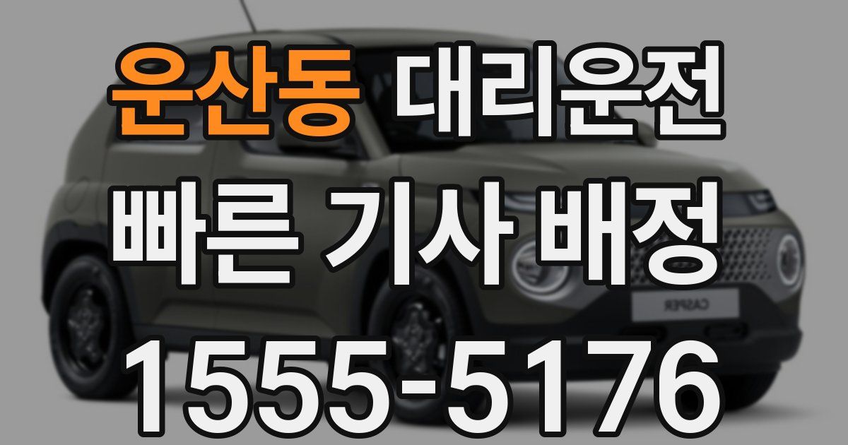 일일대리기사