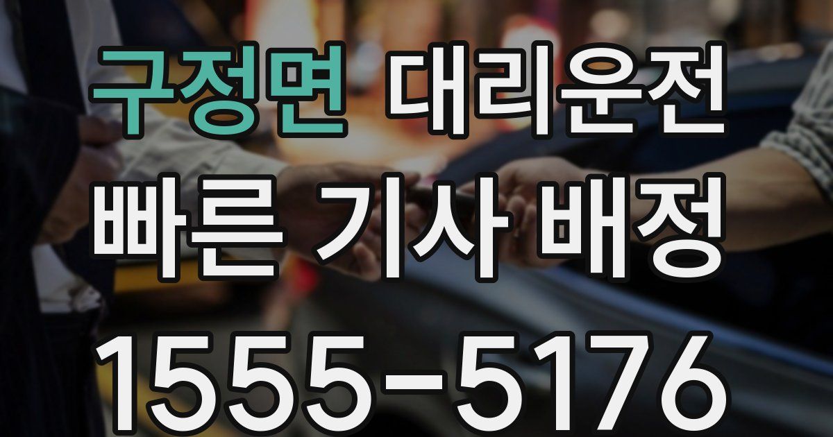 일일대리기사