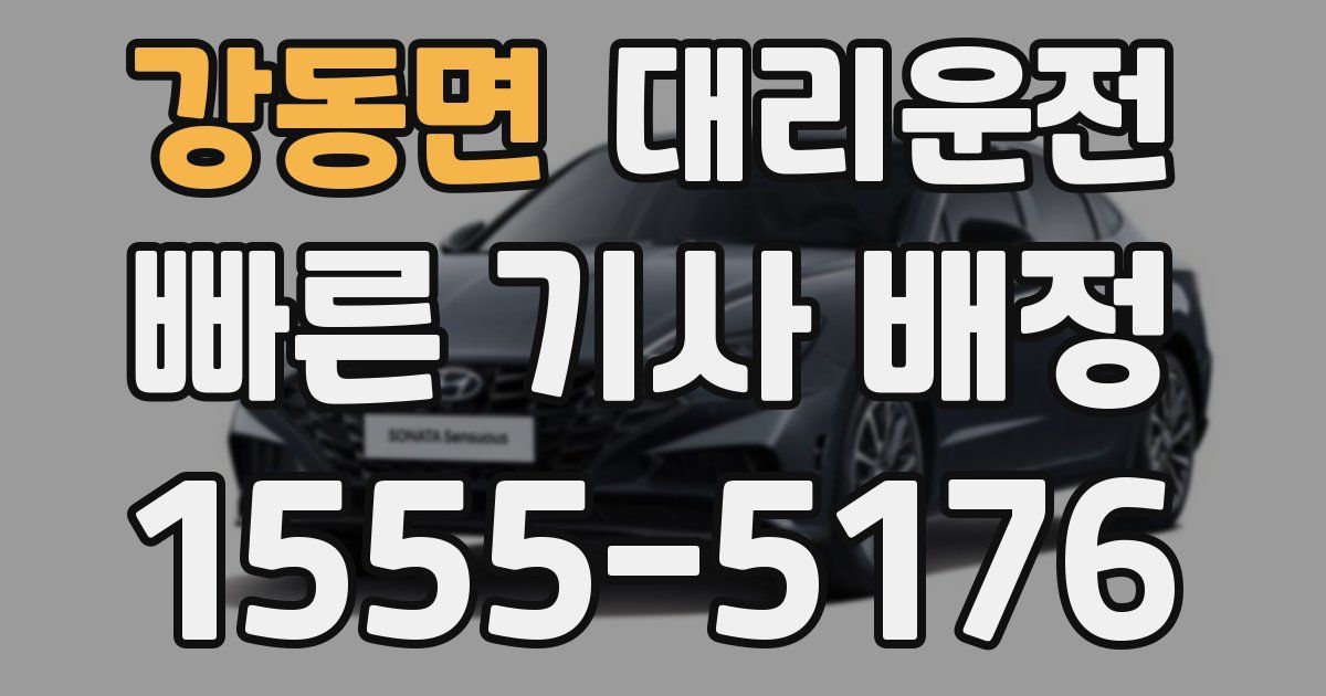 일일대리기사