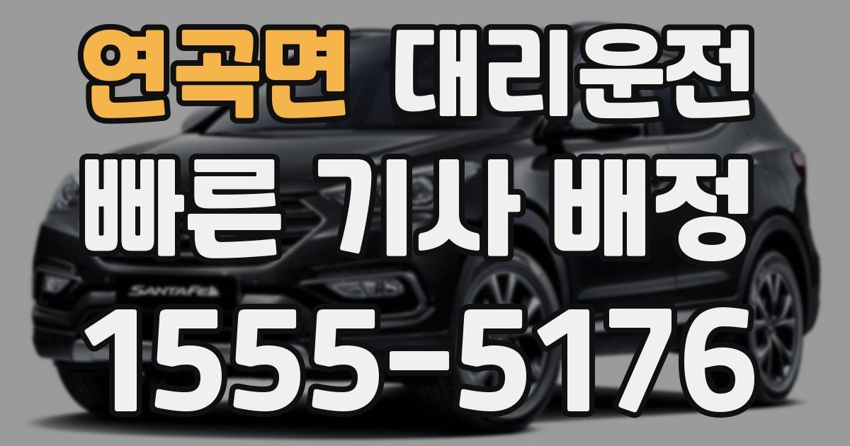 일일대리기사
