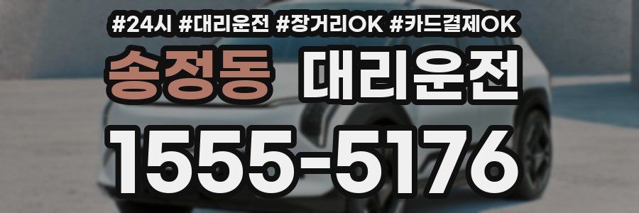 송정동 대리운전