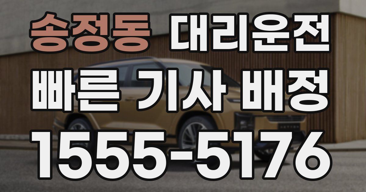 일일대리기사