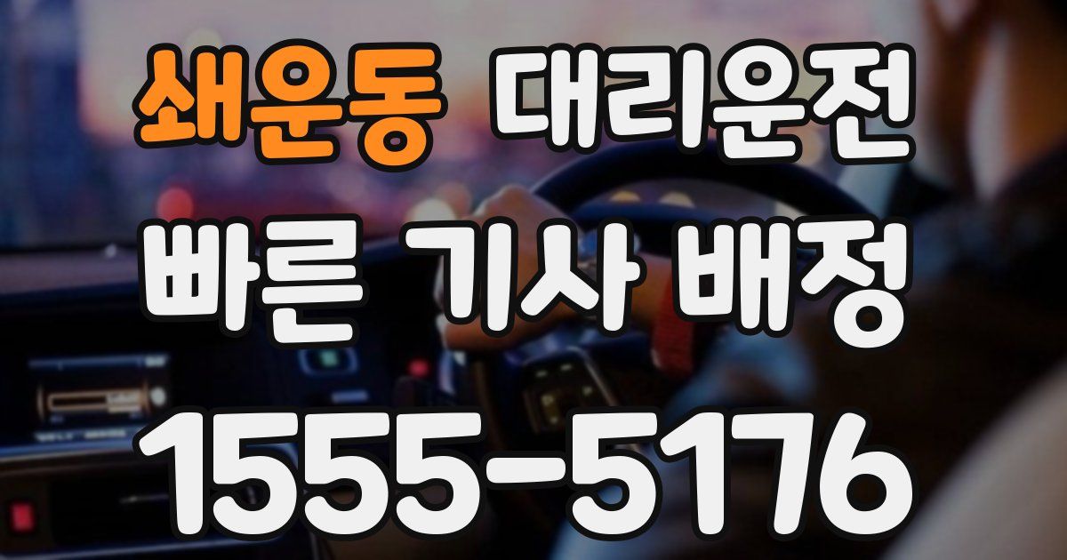 일일대리기사