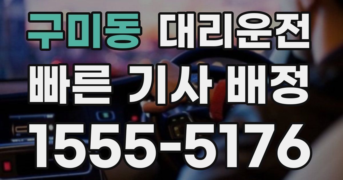 일일대리기사