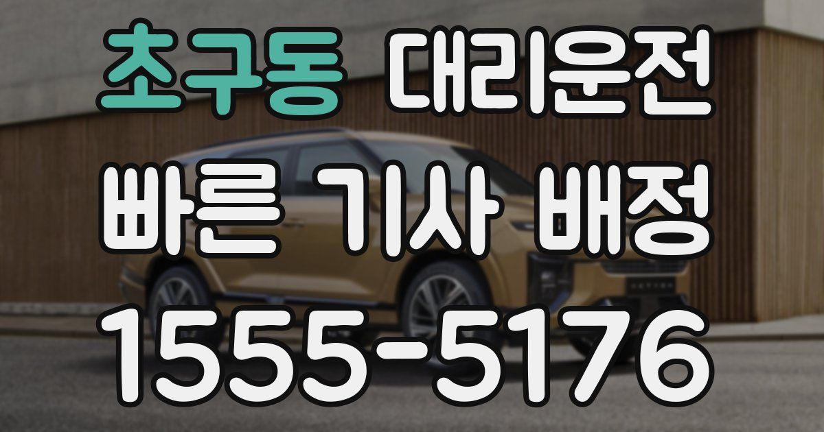 일일대리기사