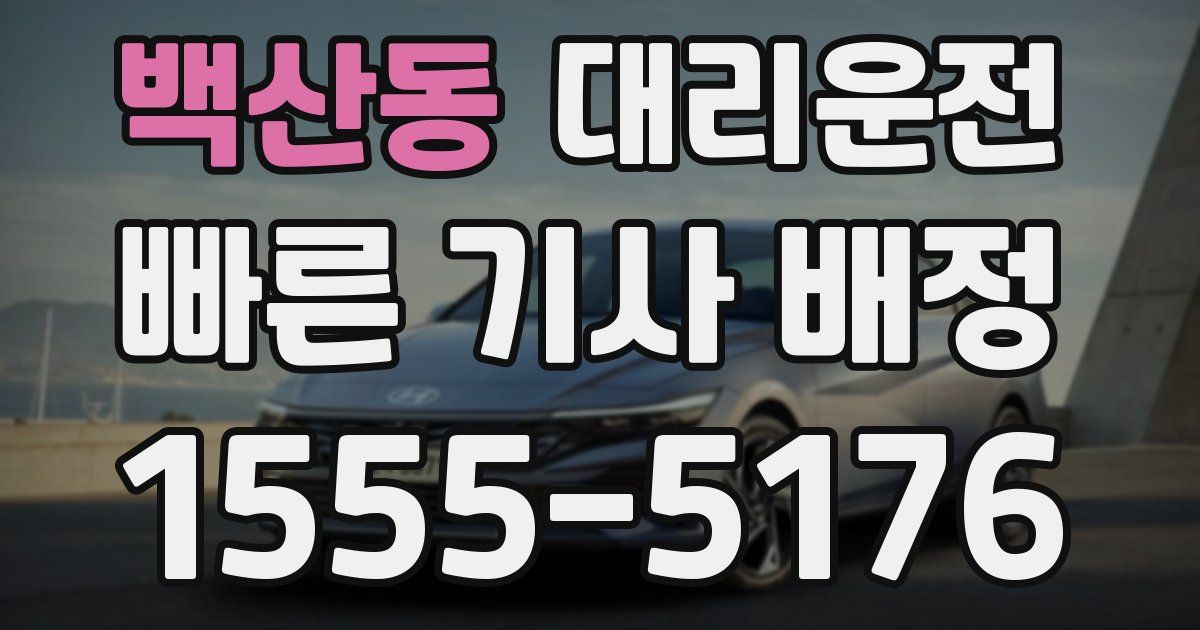 일일대리기사