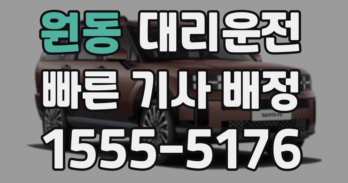일일대리기사