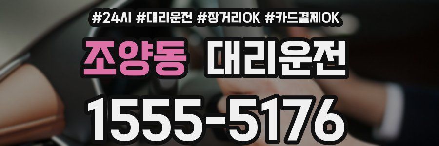 조양동 대리운전