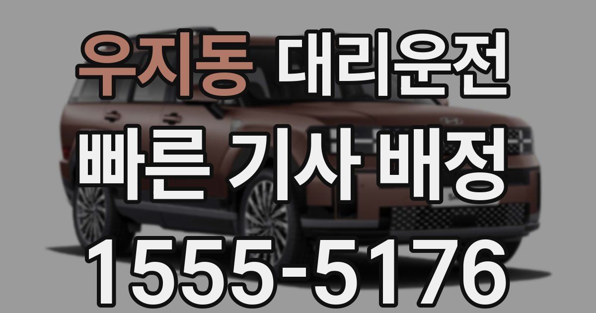 일일대리기사