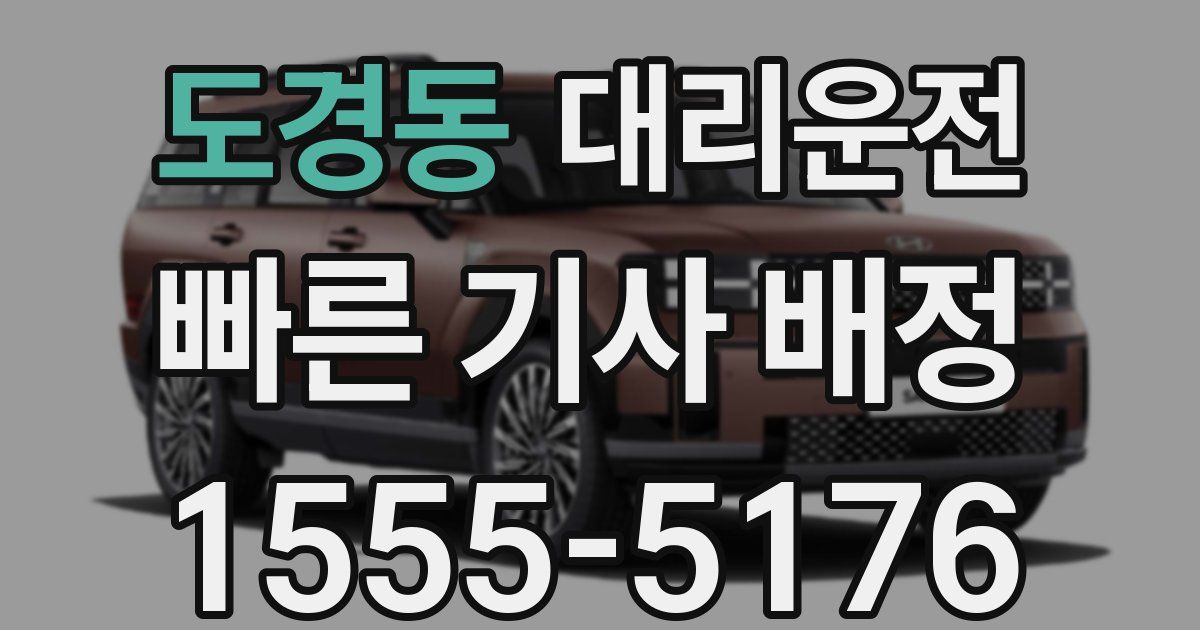 일일대리기사
