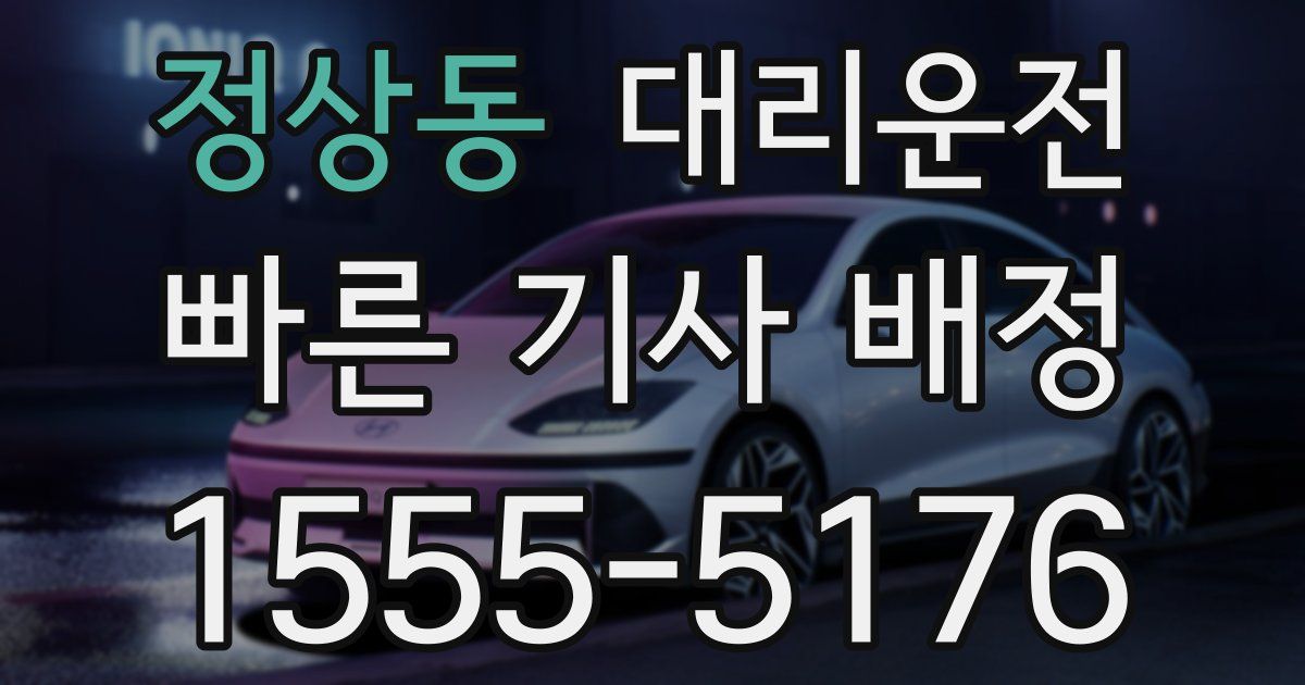일일대리기사