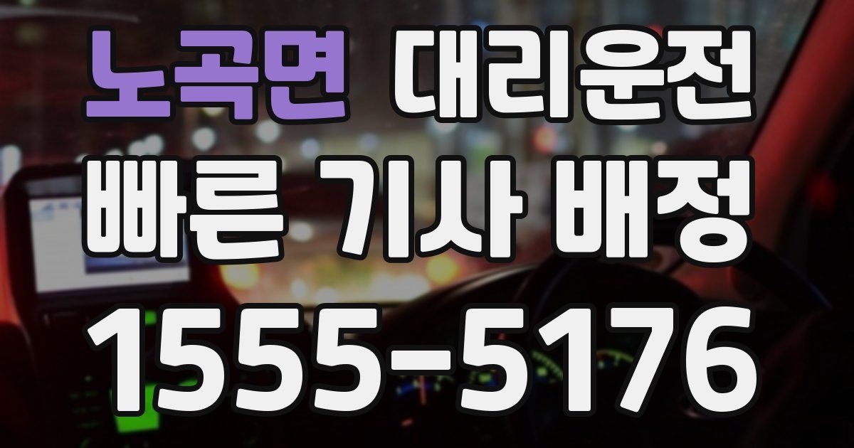 일일대리기사