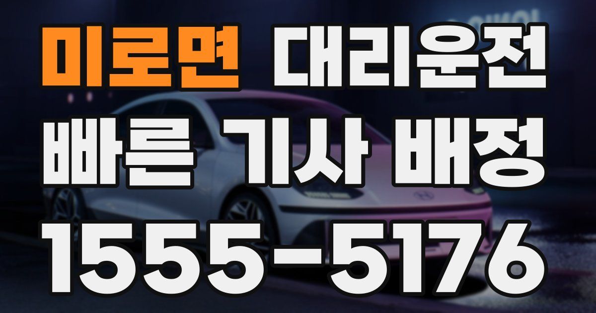 일일대리기사