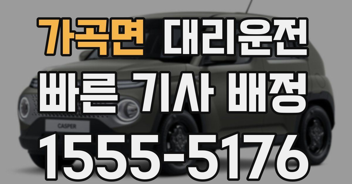일일대리기사