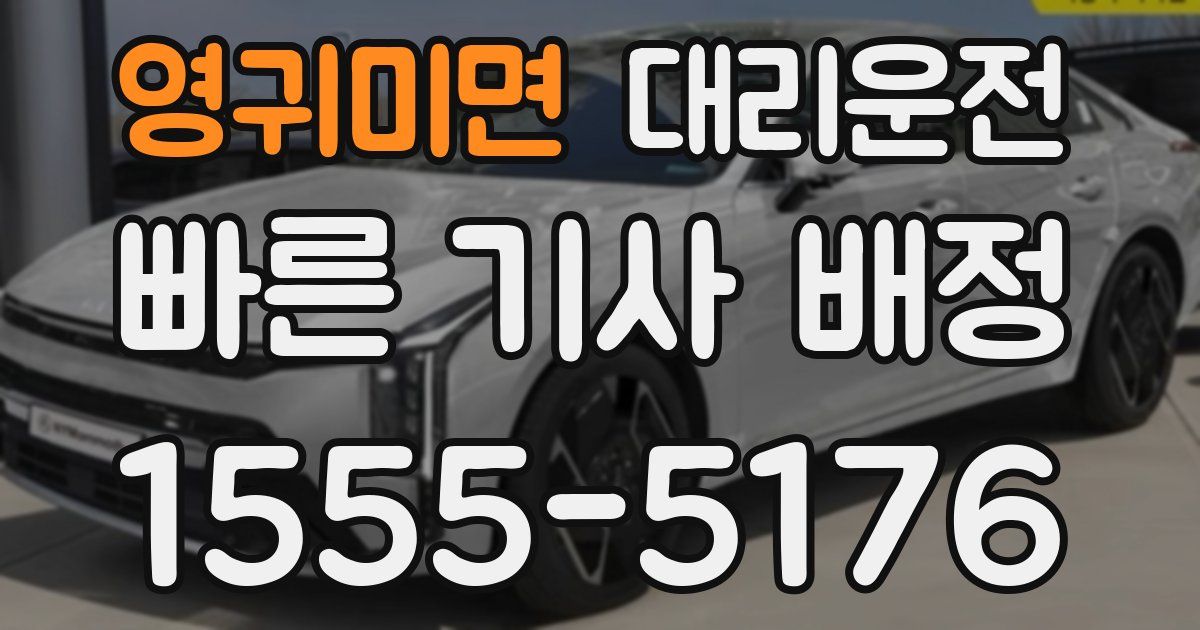 일일대리기사