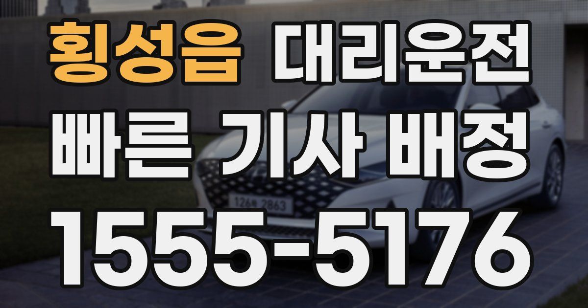 일일대리기사