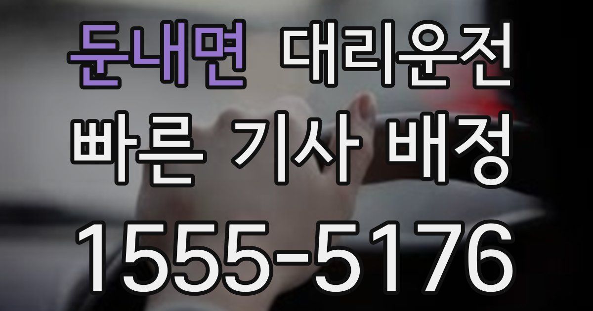 일일대리기사