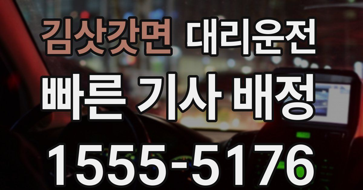 일일대리기사