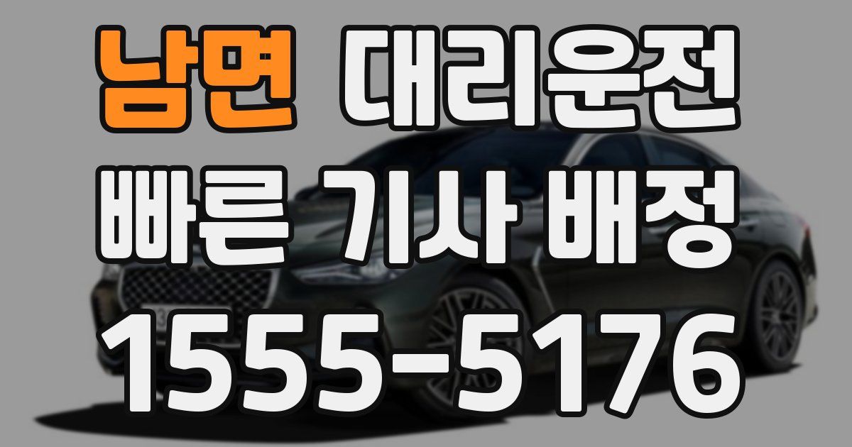 일일대리기사