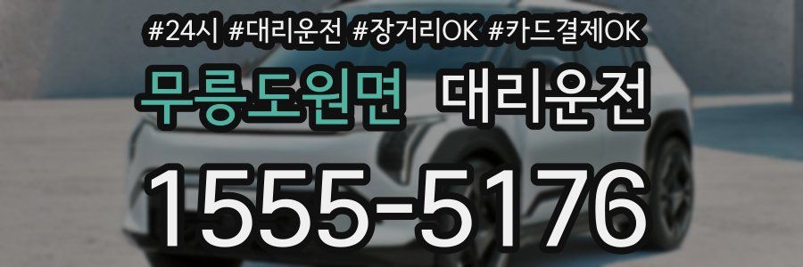 무릉도원면 대리운전