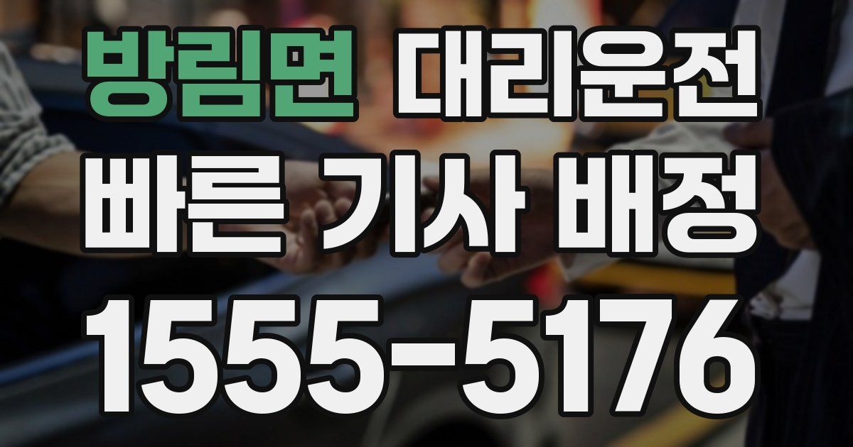 일일대리기사